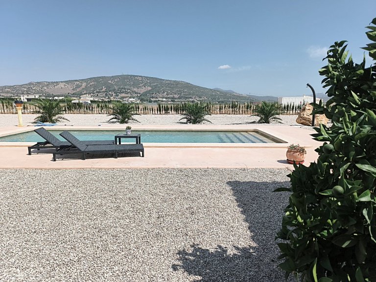 Villa for Sale in Pinoso, Alicante 39