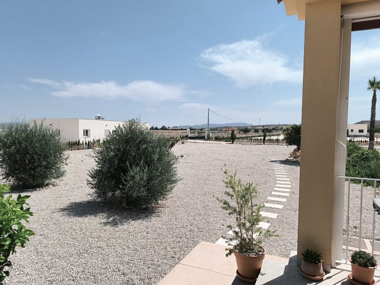 Villa for Sale in Pinoso, Alicante 36