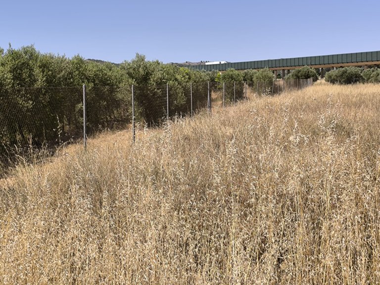 Plot for Sale in Caudete, Albacete 2