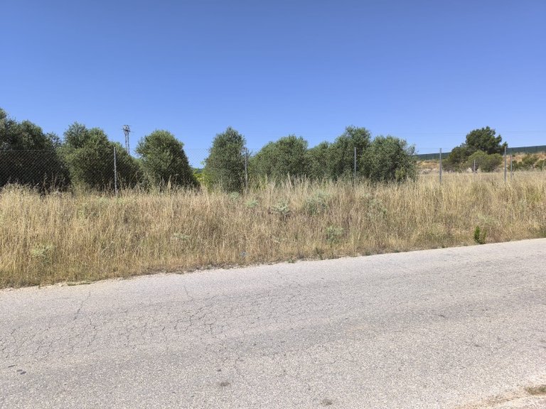 Plot for Sale in Caudete, Albacete 4