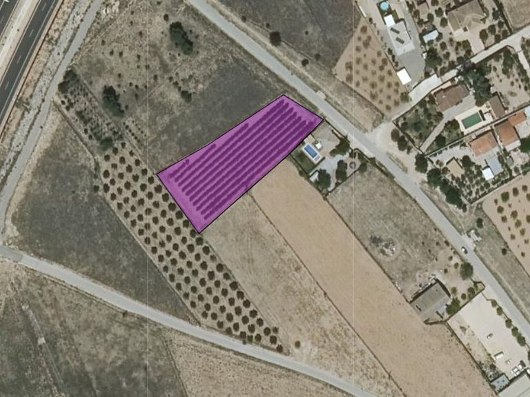 Plot for Sale in Caudete, Albacete 5