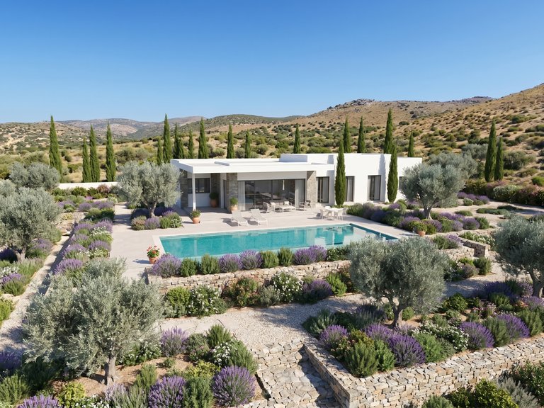 Villa for Sale in Pinoso, Alicante 28