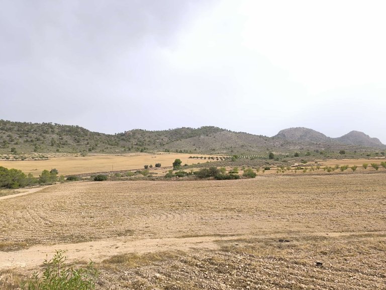 Plot for Sale in Yecla, Murcia 1