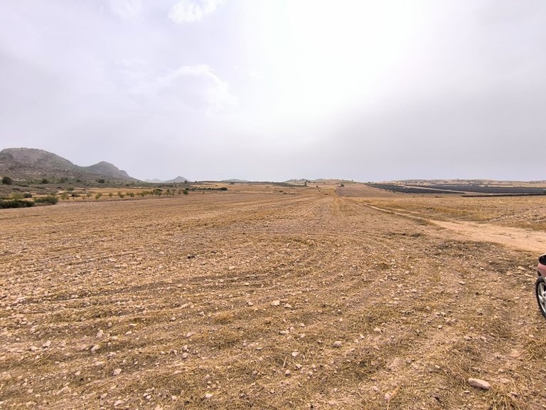 Plot for Sale in Yecla, Murcia 3