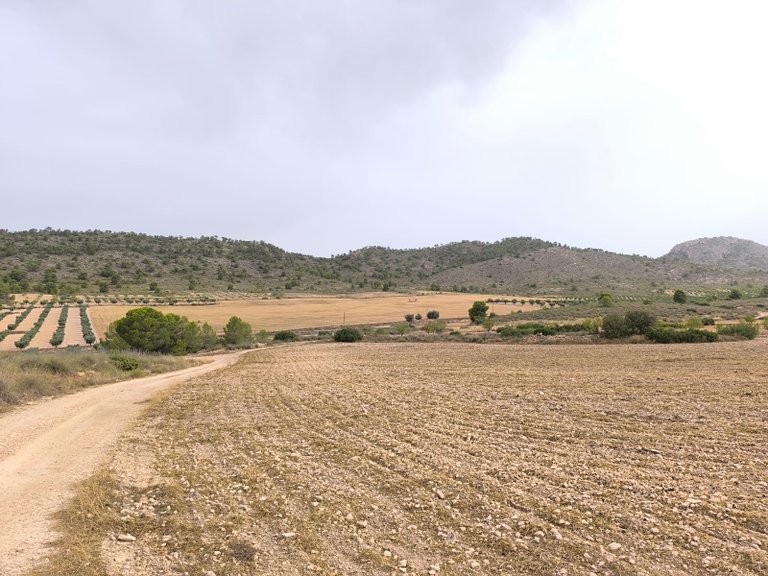 Plot for Sale in Yecla, Murcia 2