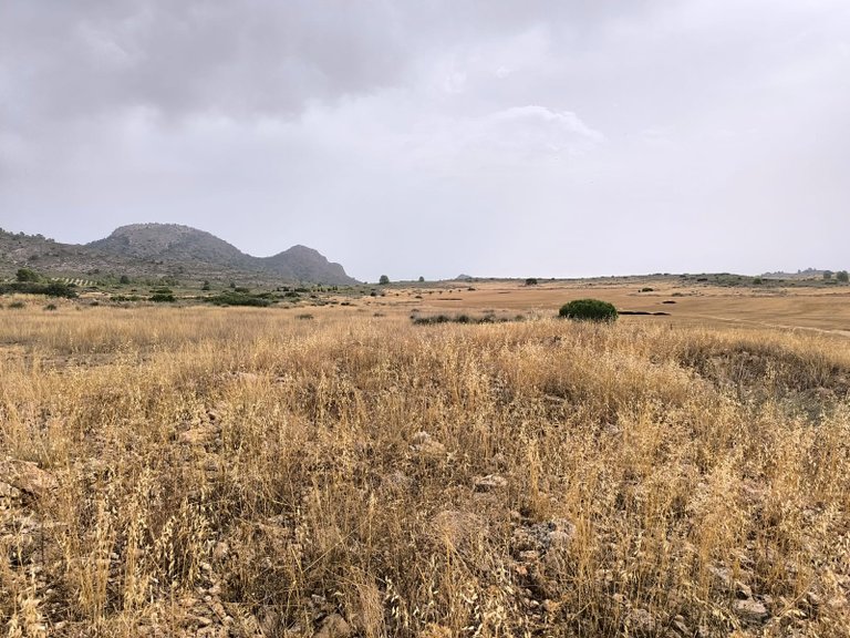 Plot for Sale in Yecla, Murcia 4
