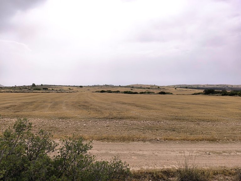 Plot for Sale in Yecla, Murcia 7