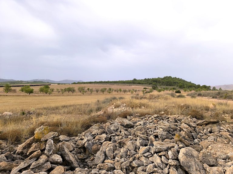 Plot for Sale in Yecla, Murcia 6