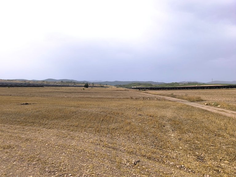 Plot for Sale in Yecla, Murcia 5