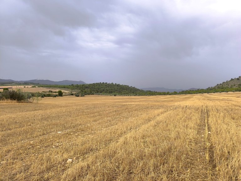 Plot for Sale in Yecla, Murcia 10