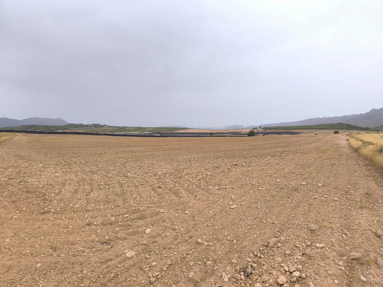 Plot for Sale in Yecla, Murcia 12