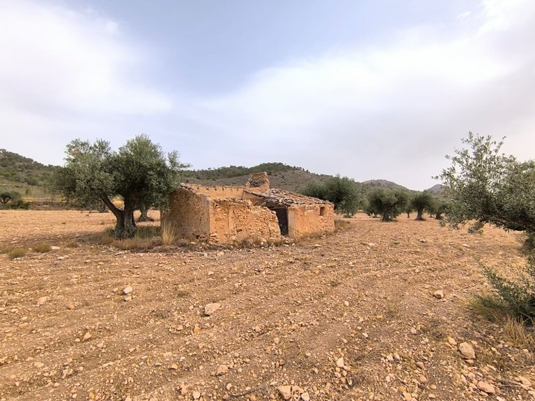 Plot for Sale in Yecla, Murcia 9