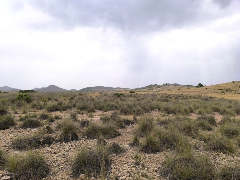 Plot for Sale in Yecla, Murcia 14