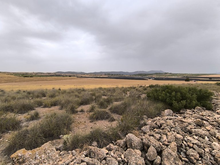 Plot for Sale in Yecla, Murcia 13