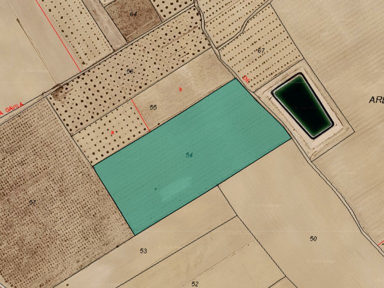 Plot for Sale in Yecla, Alicante 1
