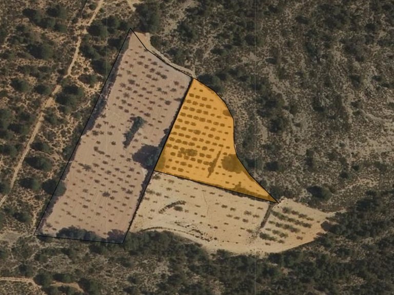 Plot for Sale in Yecla, Murcia 11