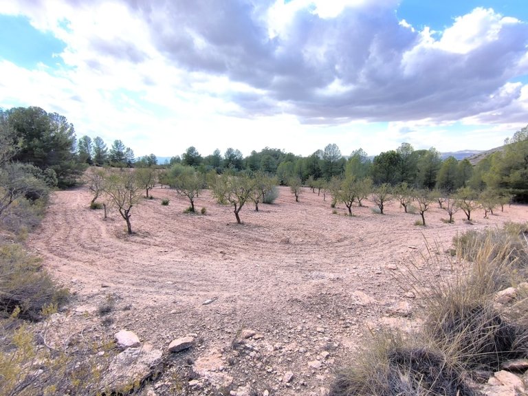 Plot for Sale in Yecla, Murcia 12