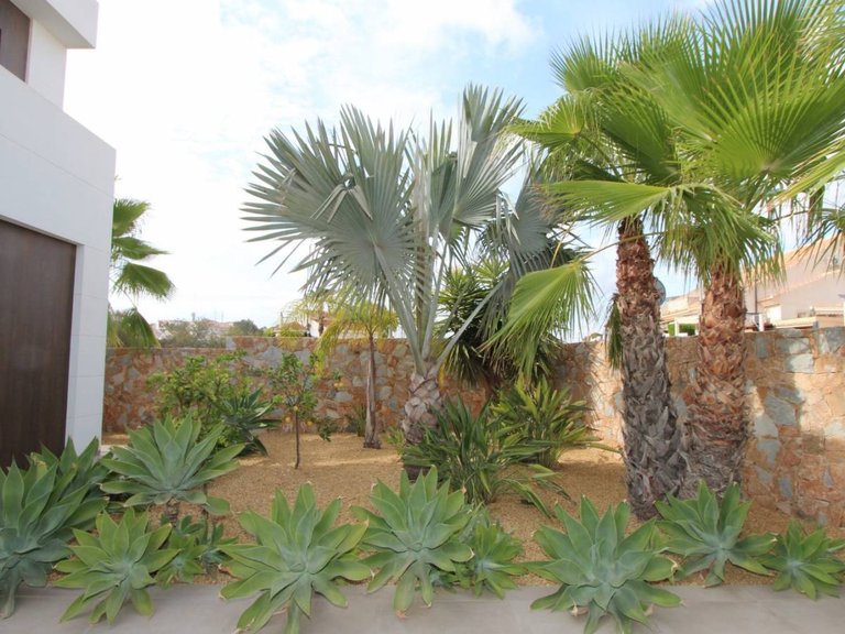 Villa for Sale in Ciudad Quesada, Rojales, Alicante 5