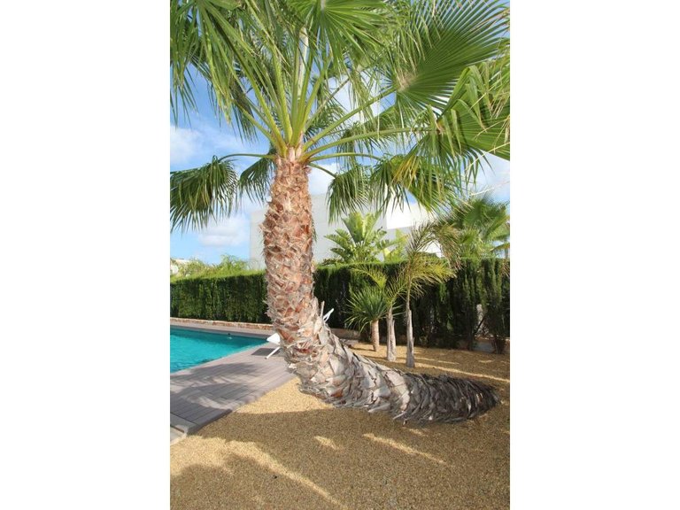 Villa for Sale in Ciudad Quesada, Rojales, Alicante 8