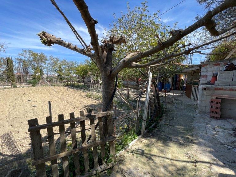 Villa for Sale in Guardamar Del Segura, Alicante 26
