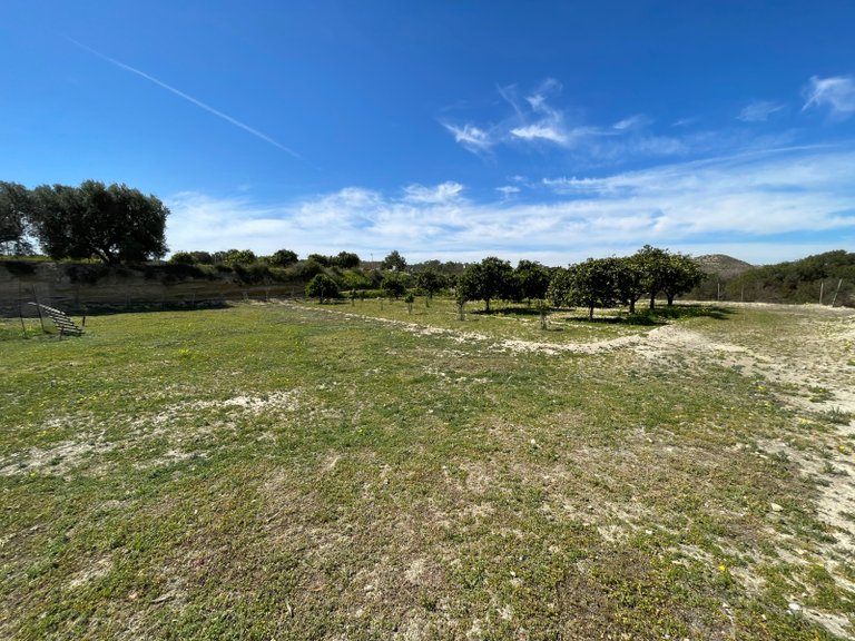 Villa for Sale in Guardamar Del Segura, Alicante 29