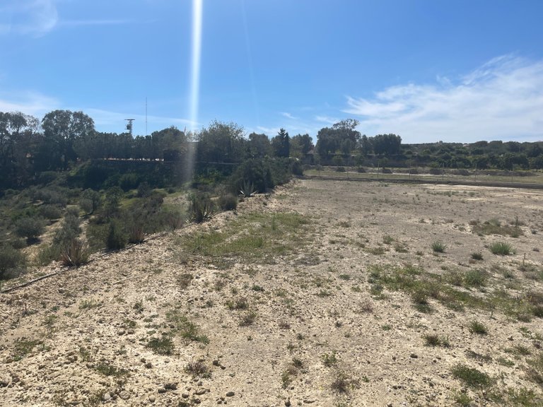 Villa for Sale in Guardamar Del Segura, Alicante 33