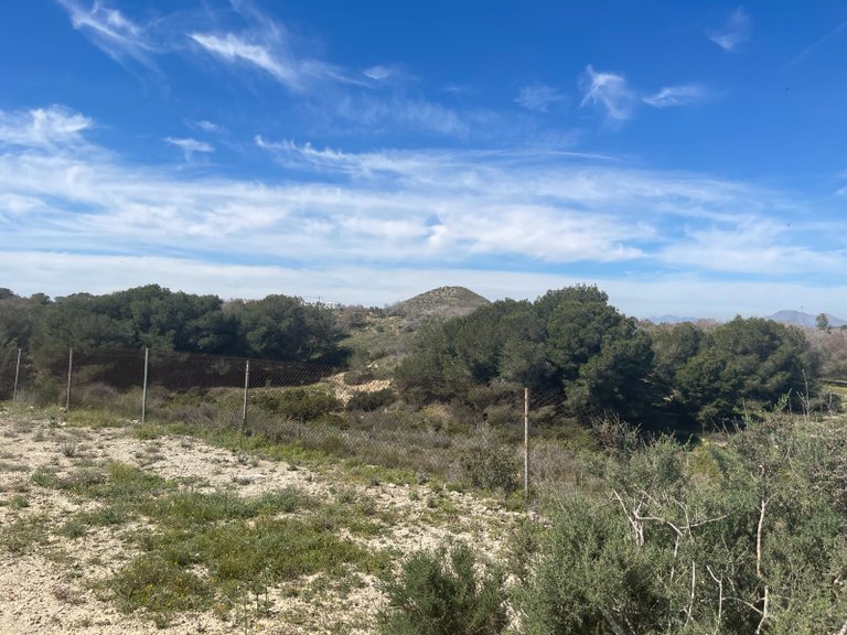 Villa for Sale in Guardamar Del Segura, Alicante 34