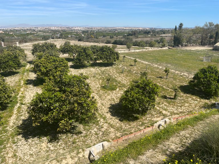 Villa for Sale in Guardamar Del Segura, Alicante 3