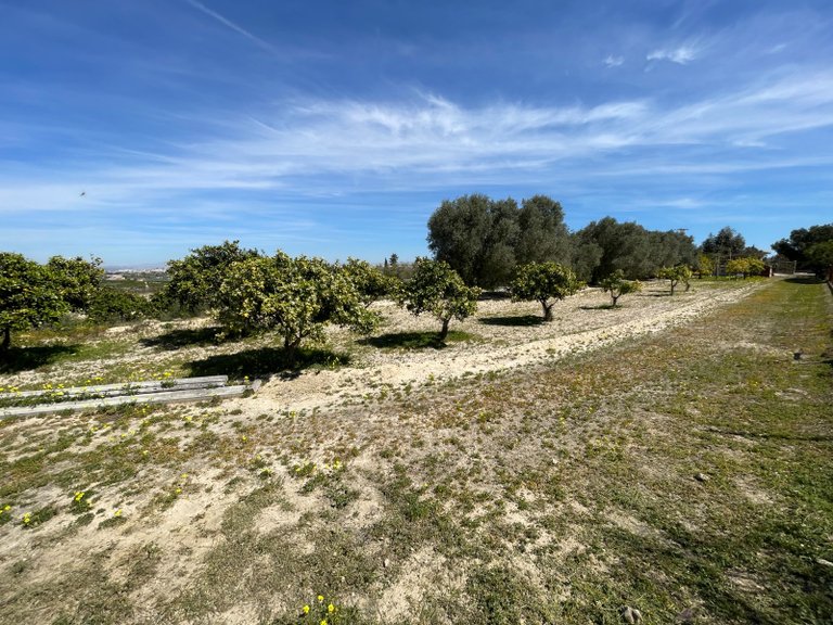 Villa for Sale in Guardamar Del Segura, Alicante 39