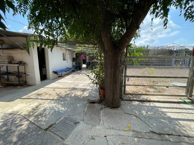 Villa for Sale in La Marina, San Fulgencio, Alicante 44