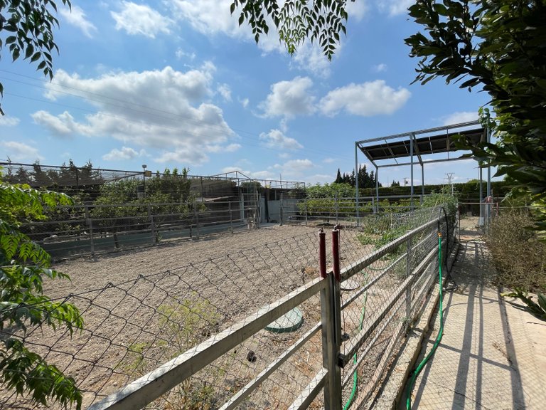 Villa for Sale in La Marina, San Fulgencio, Alicante 45