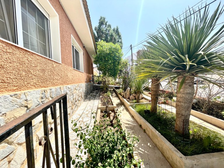 Villa for Sale in Benijofar, Alicante 32