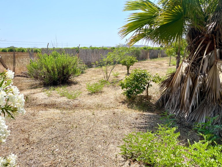 Villa for Sale in Daya Nueva, Alicante 16