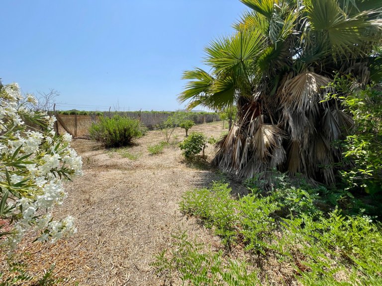 Villa for Sale in Daya Nueva, Alicante 17