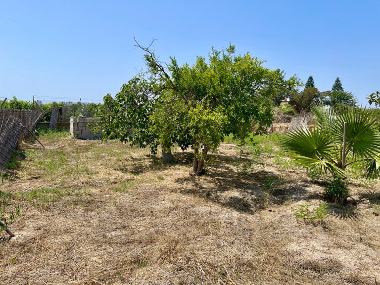 Villa for Sale in Daya Nueva, Alicante 19