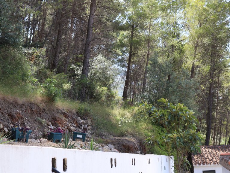 Villa for Sale in Inland Parcent, Alicante 44