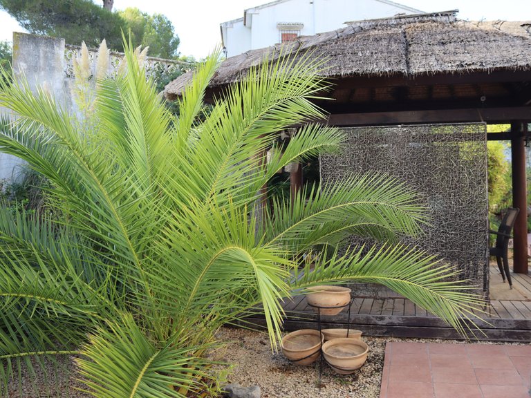 Villa for Sale in Inland Murla, Alicante 35