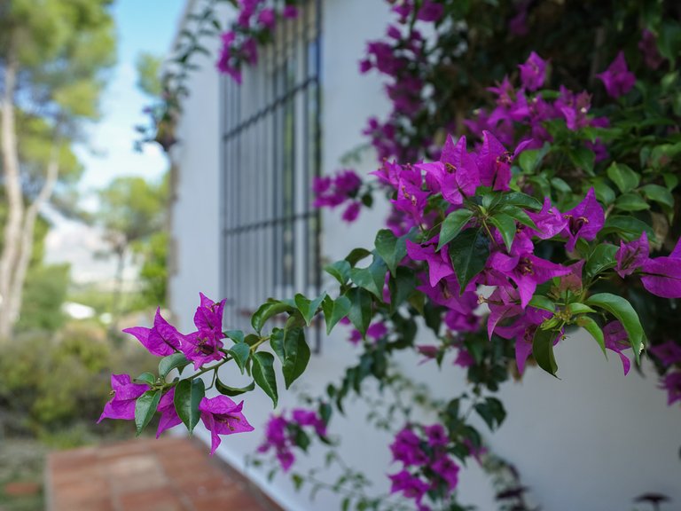 Villa for Sale in Javea/xabia, Alicante 29
