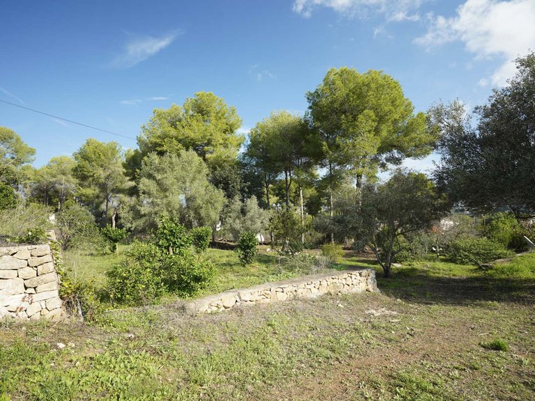 Villa for Sale in Javea/xabia, Alicante 35