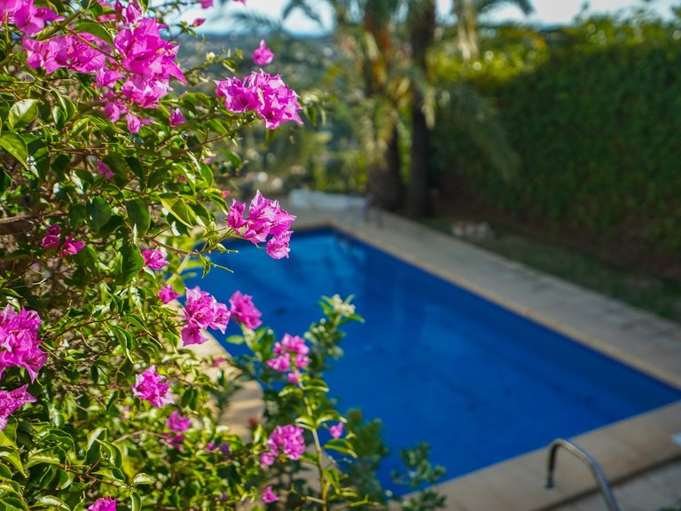 Villa for Sale in Javea/xabia, Alicante 41