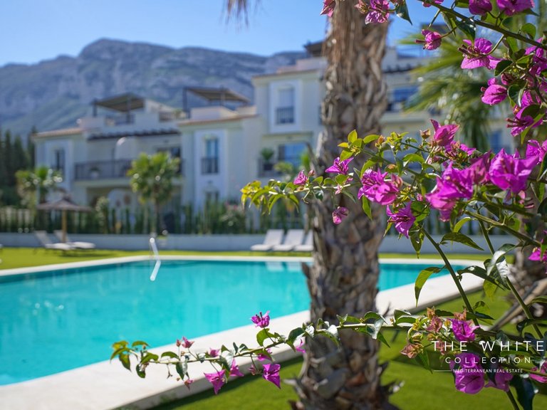 Apartment for Sale in Denia, Alicante 1