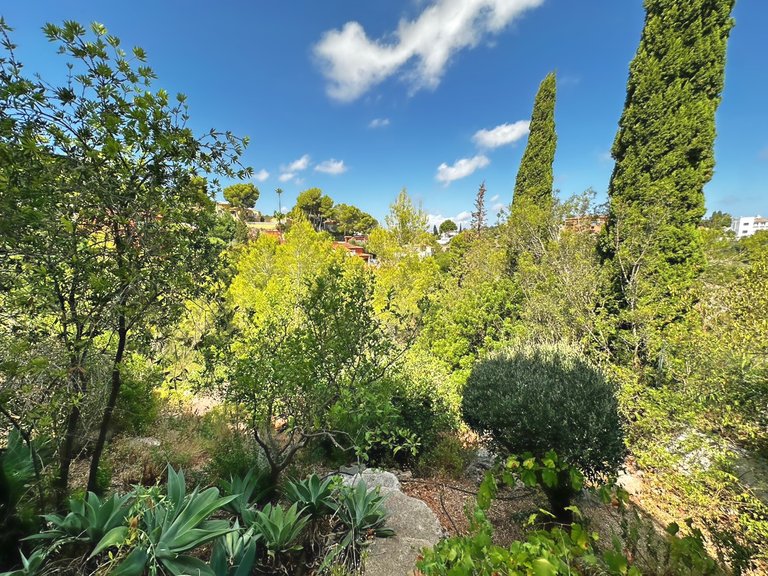 Villa for Sale in Denia, Alicante 27