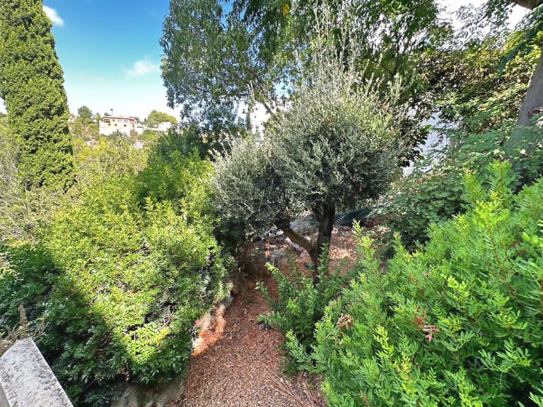 Villa for Sale in Denia, Alicante 28