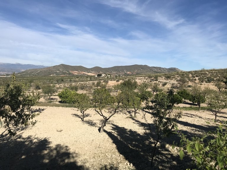 Country House for Sale in Costa Calida Lorca, Murcia 14