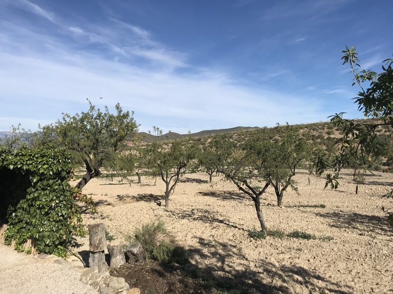 Country House for Sale in Costa Calida Lorca, Murcia 21