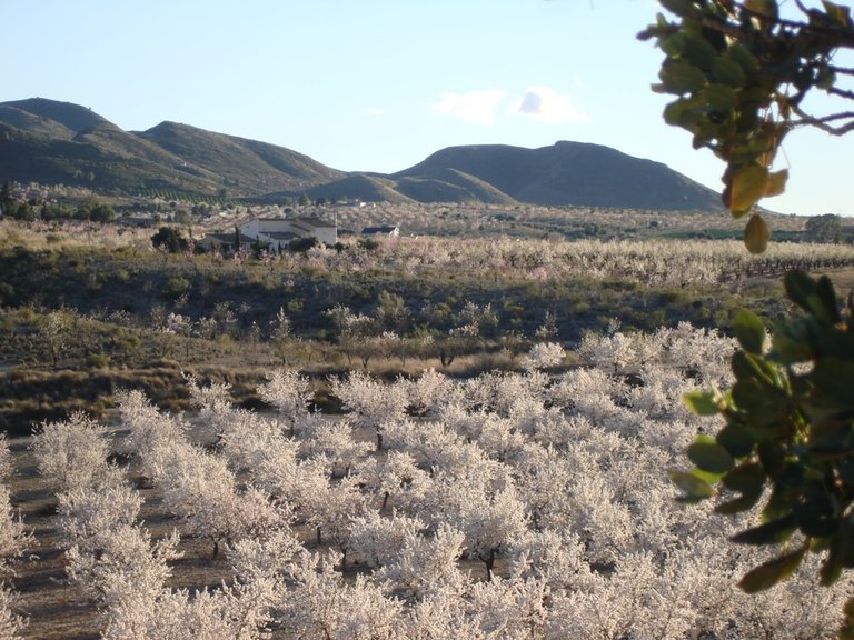 Country House for Sale in Costa Calida Lorca, Murcia 30