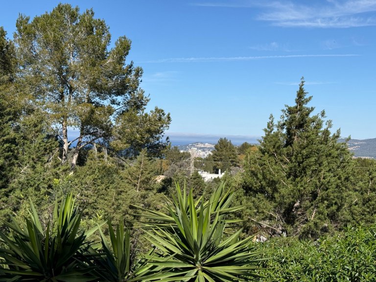 Villa for Sale in Sant Josep De Sa Talaia, Balearic Islands 34