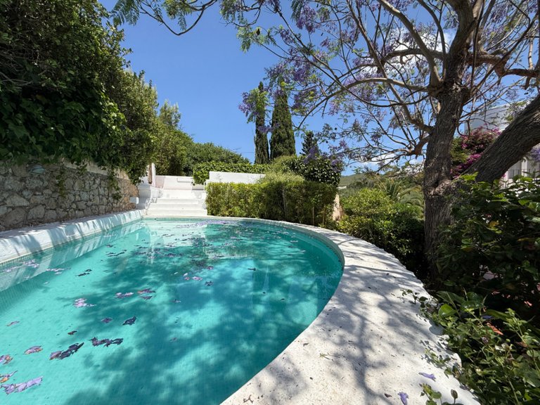 Villa for Sale in Santa Eulària Des Riu, Balearic Islands 8
