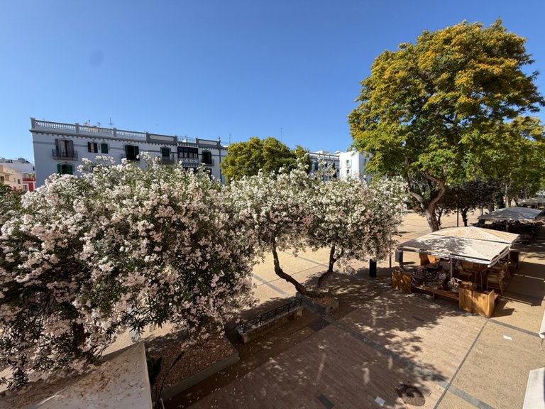 Apartment for Sale in Ibiza, Balearic Islands 1