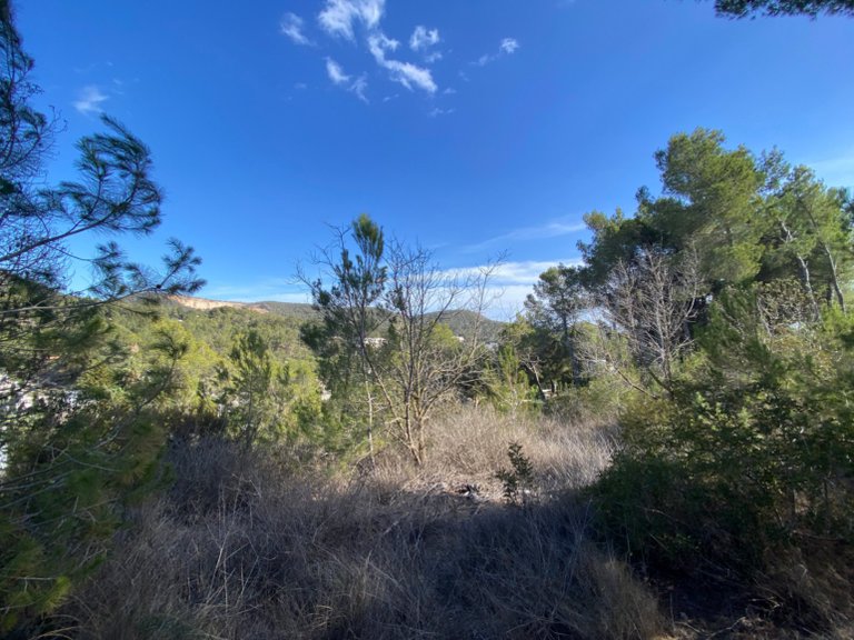 Plot for Sale in Santa Eulalia Del Río, Balearic Islands 1